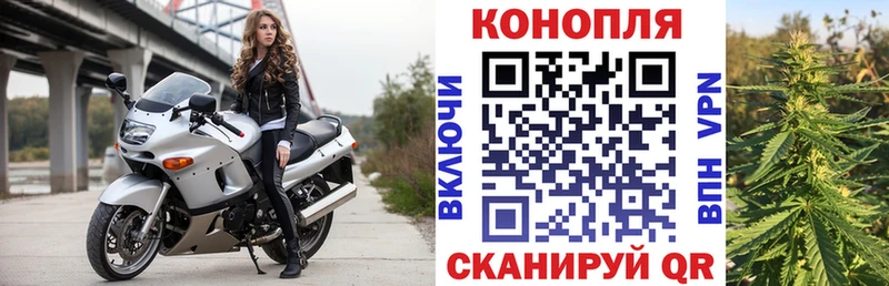 Где найти наркотики Выборг МАРИХУАНА  КОКАИН  Гашиш  APVP  МЕФ 