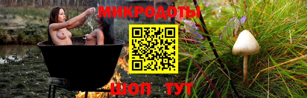 Галлюциногенные грибы Psilocybe  Вход с VPN  Выборг 
